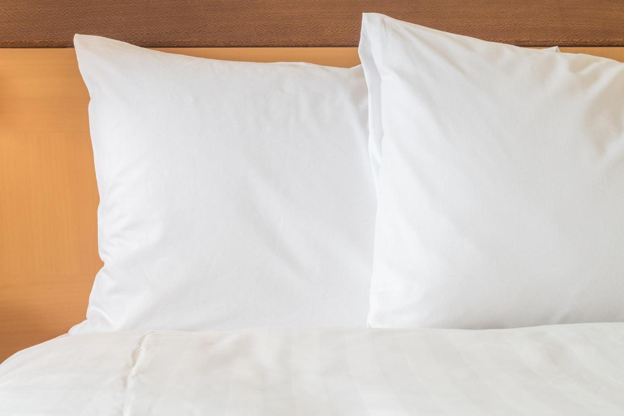 Crowne Plaza Jacksonville Airport By Ihg Экстерьер фото