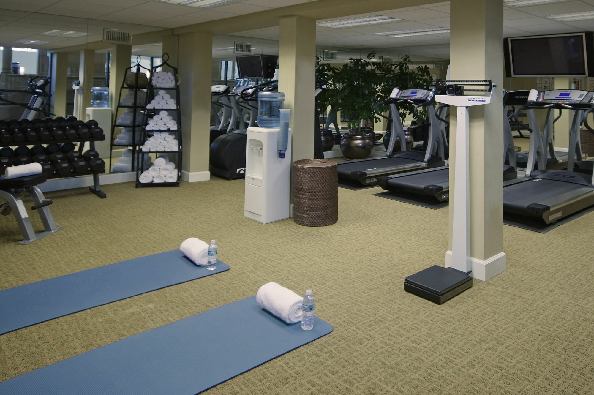 Crowne Plaza Jacksonville Airport By Ihg Экстерьер фото